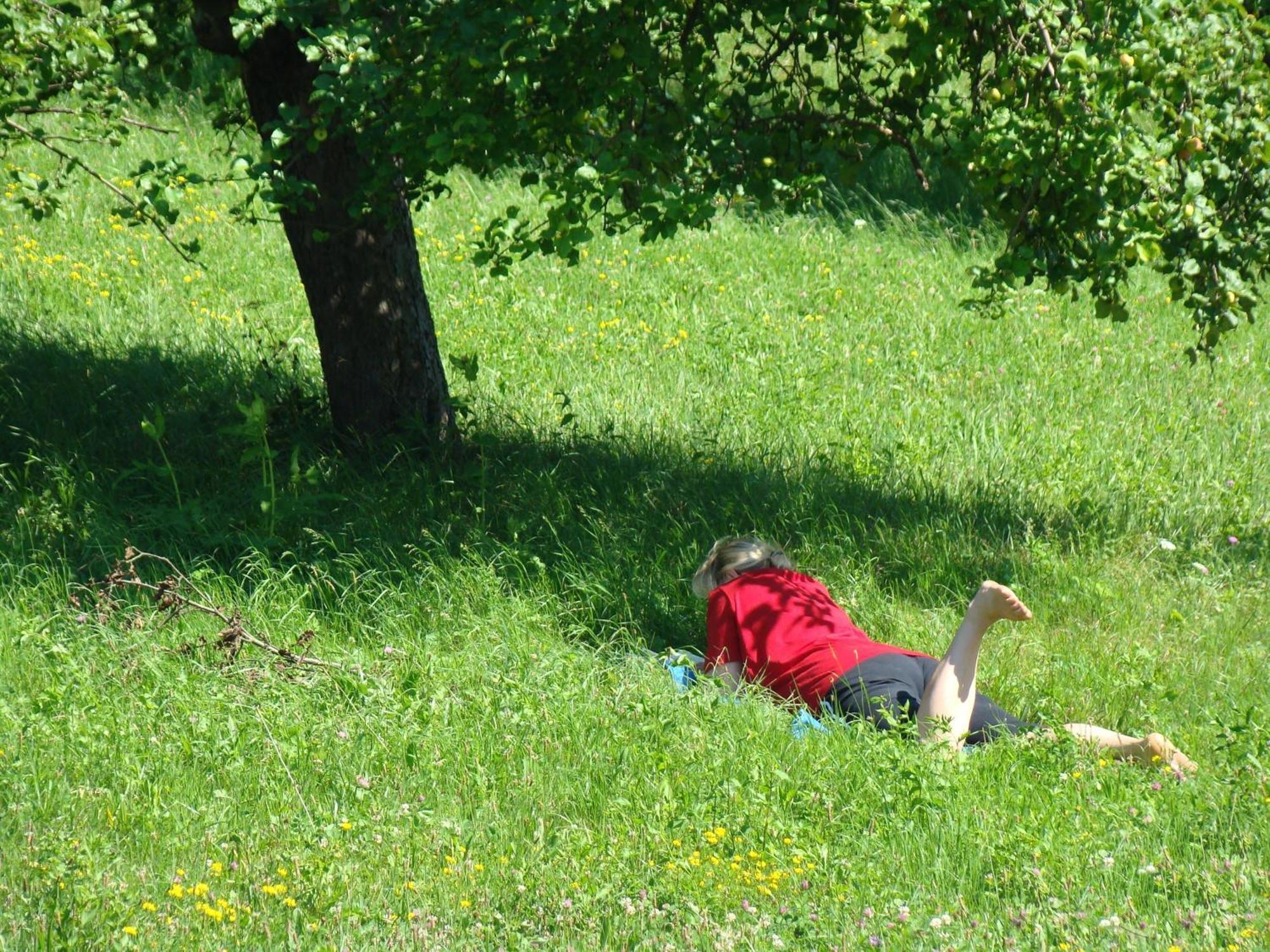Buchgrabenhof Daire Windisch Minihof Dış mekan fotoğraf