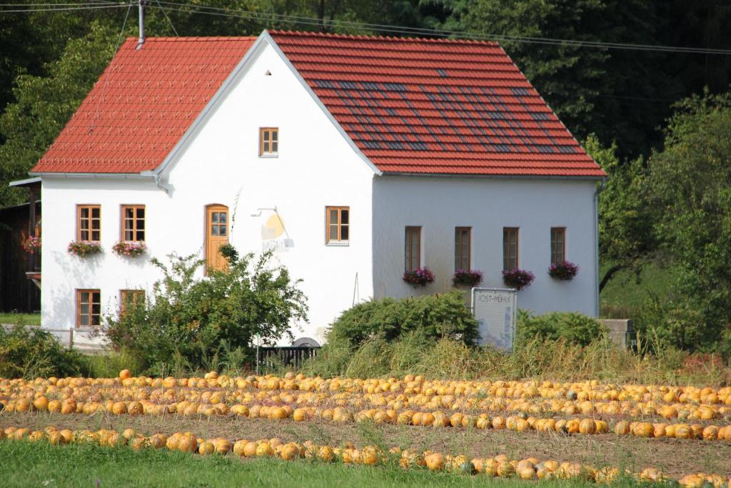 Buchgrabenhof Daire Windisch Minihof Dış mekan fotoğraf